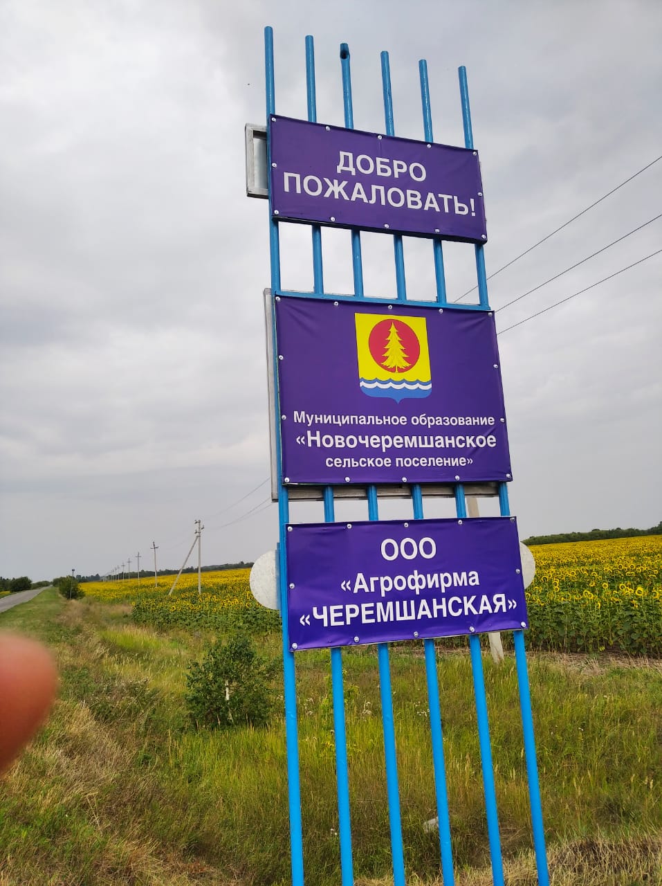 Стелла въездная.