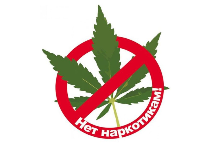 Памятка по наркосодержащим растениям.. Памятка по наркосодержащим растениям..