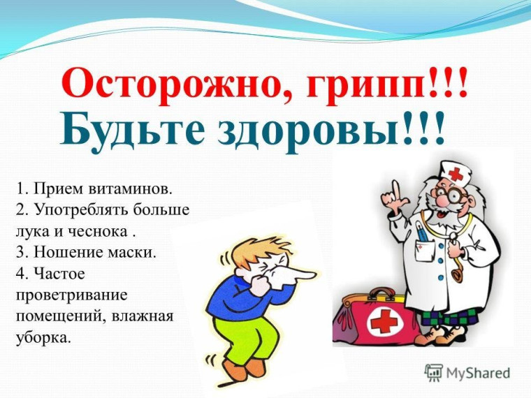 Профилактика гриппа. Профилактика гриппа.